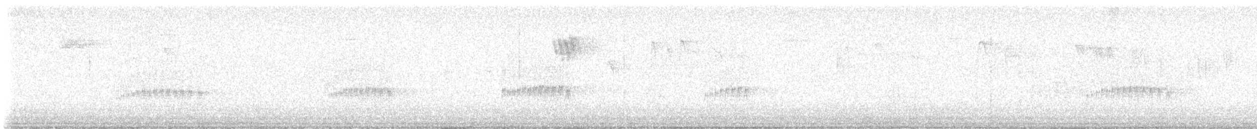 Cincia dal ciuffo - ML647284762