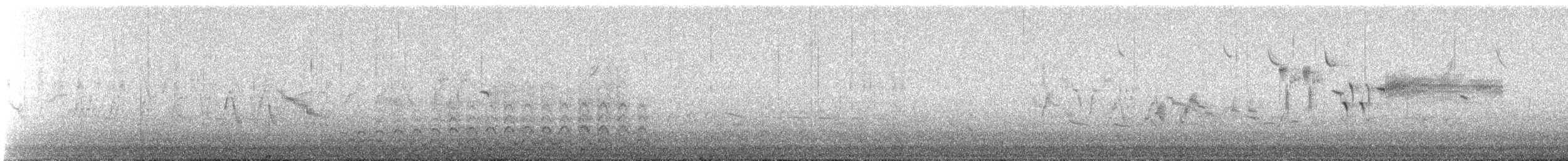 Wilson's Snipe - ML647284888