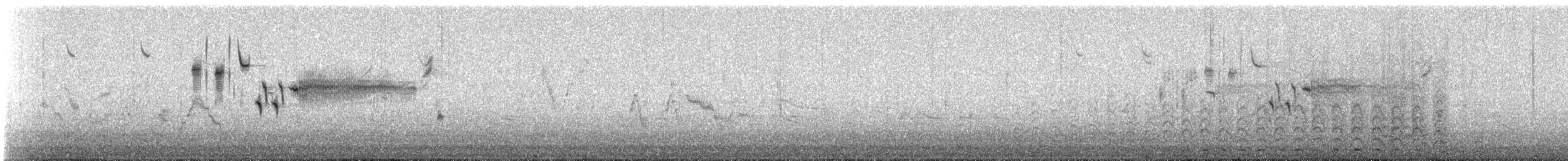 Savannah Sparrow - ML647284904