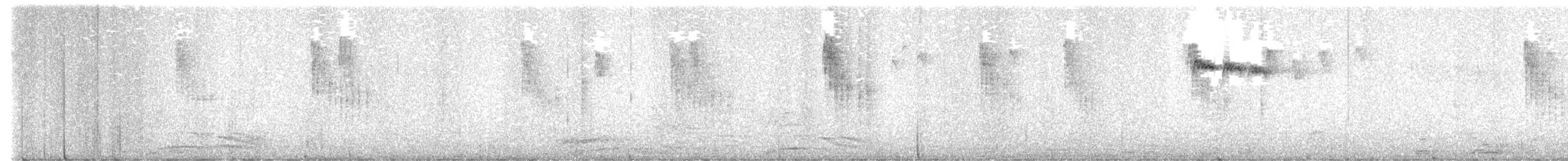 Codibugnolo - ML647285071