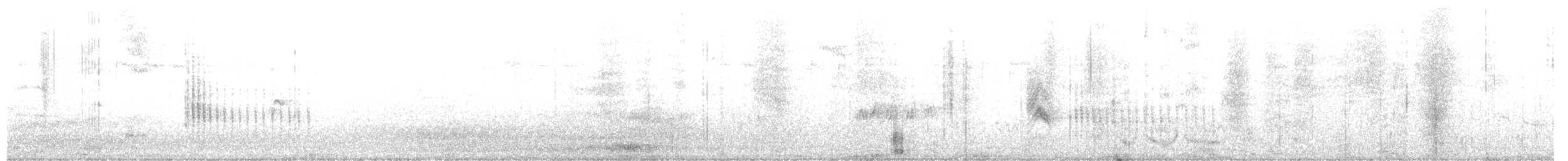 Belted Kingfisher - ML647285082