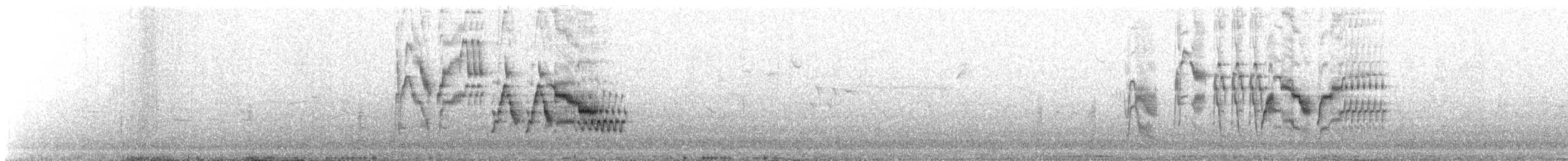 Tordo di Baird - ML647285564