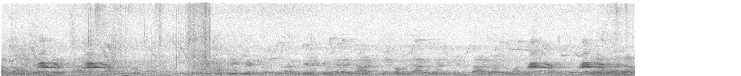 Large-billed Crow - ML647285990