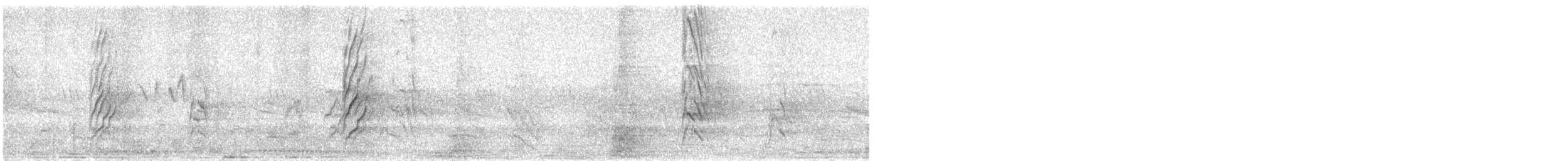 plommehodeparakitt - ML647285999