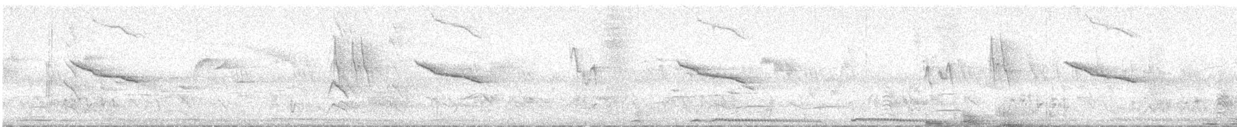 orientskjæreskvett - ML647286005