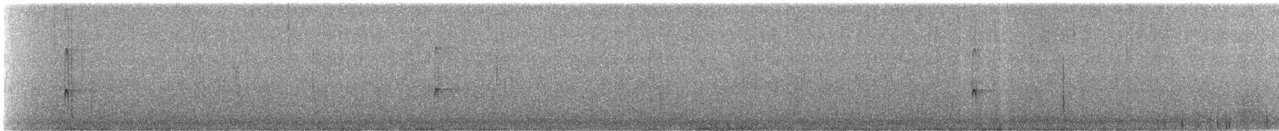 Downy Woodpecker - ML647286652