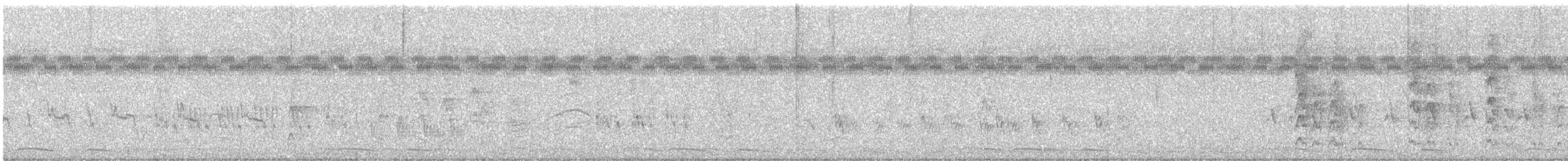 メキシコインコ - ML647288246