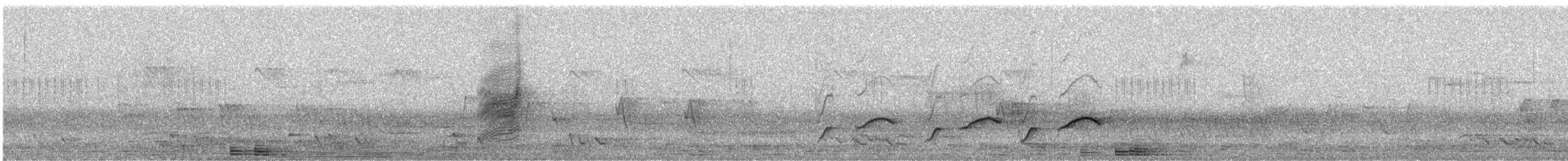 ビロードヒラハシ - ML647288259