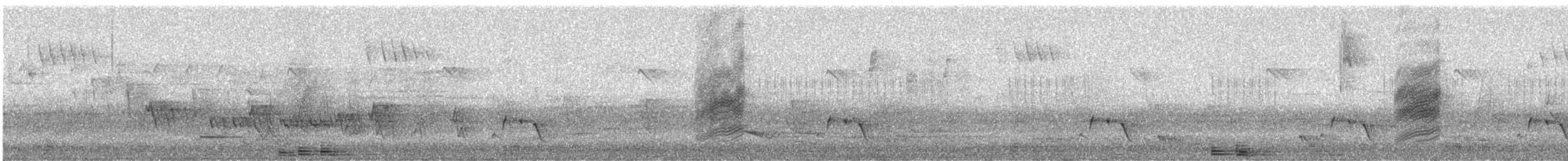 ビロードヒラハシ - ML647288268