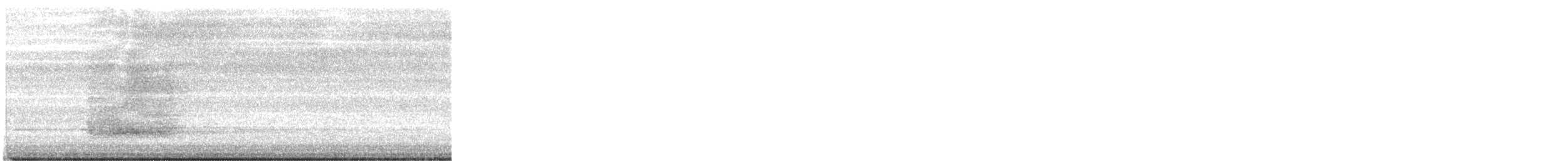 American Barn Owl - ML647288546