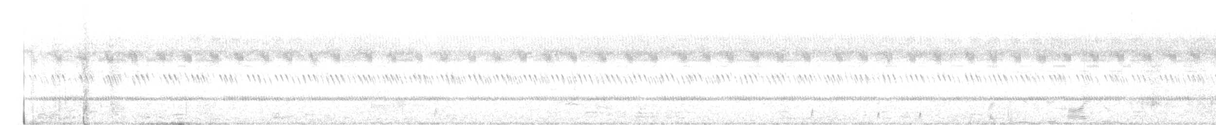 Chotacabras Hindú - ML647288918