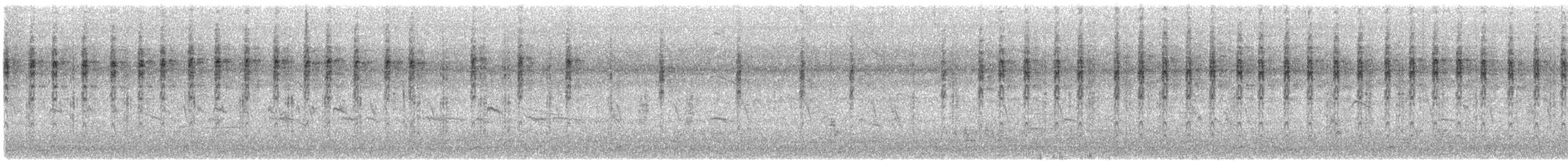 cvrčilka žíhaná - ML647289095