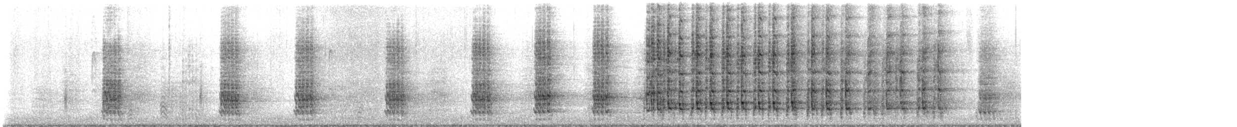 Plain Chachalaca - ML647290212