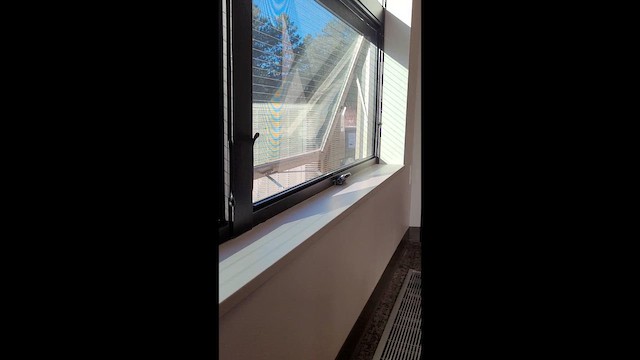 Moqueur chat - ML647290390