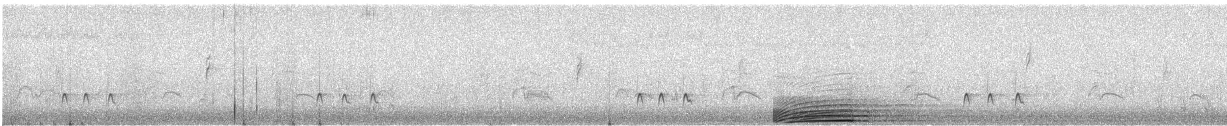 Olivflanken-Schnäppertyrann - ML647290531