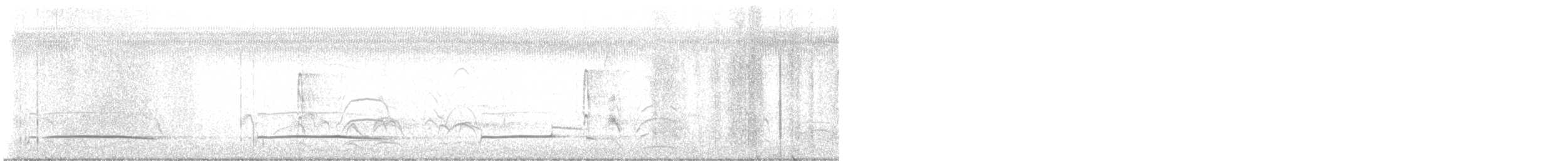 Gray Hawk - ML647290901