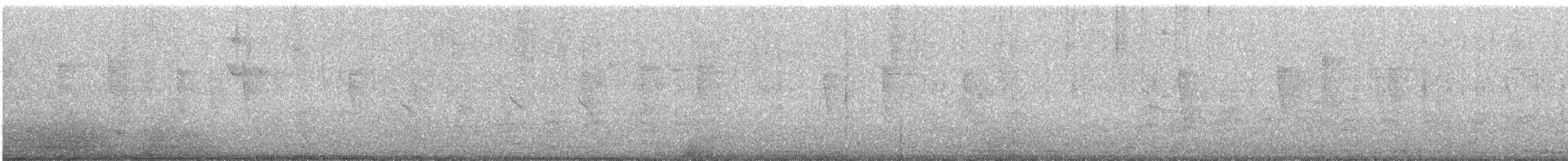 Solitary Sandpiper - ML647292709