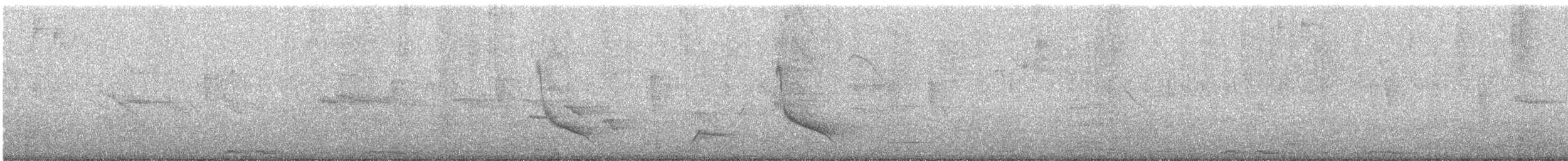 Solitary Sandpiper - ML647292710