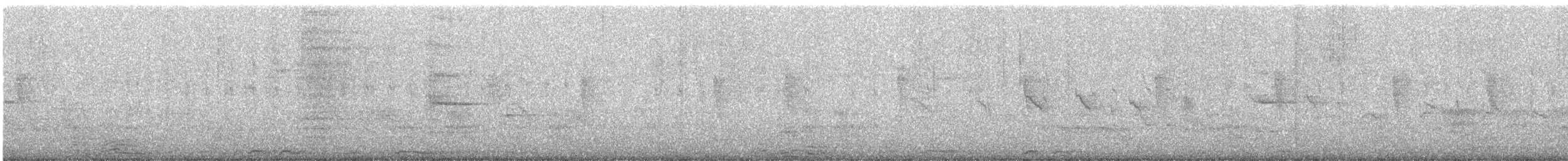 Solitary Sandpiper - ML647292711