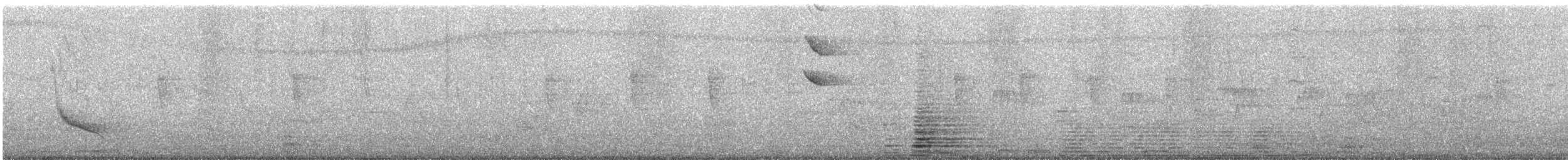 Solitary Sandpiper - ML647292712