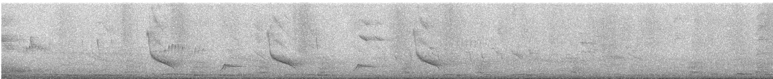 Solitary Sandpiper - ML647292714