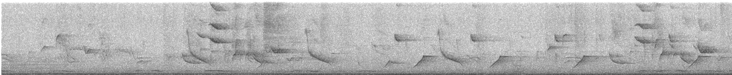 Solitary Sandpiper - ML647292715