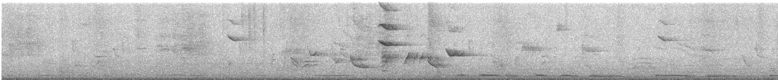 Solitary Sandpiper - ML647292716