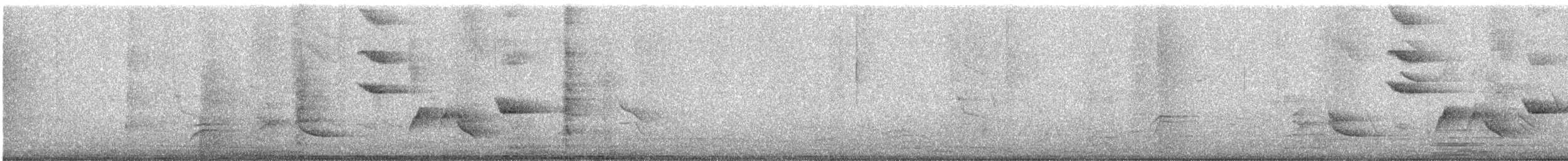 Solitary Sandpiper - ML647292717