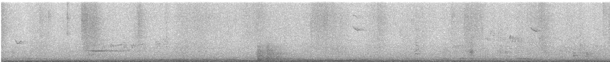 Lesser Yellowlegs - ML647292725