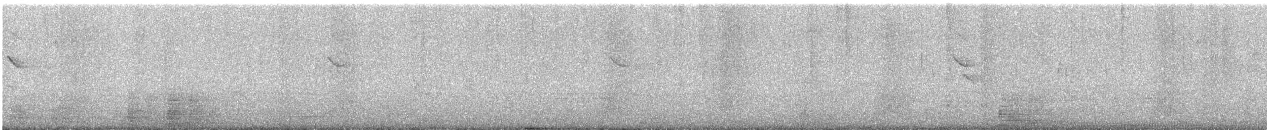 Lesser Yellowlegs - ML647292726