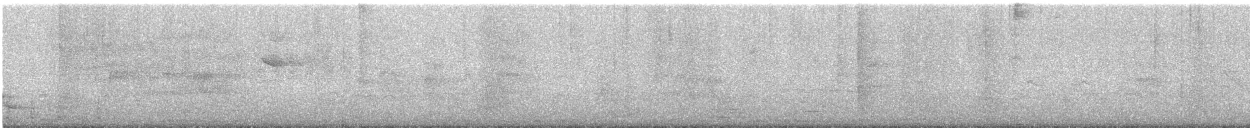 Lesser Yellowlegs - ML647292727