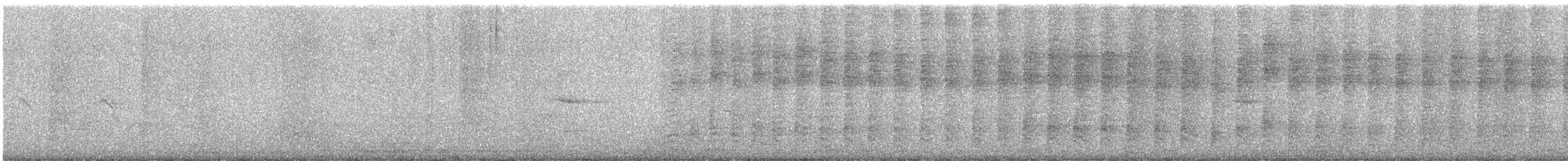 Lesser Yellowlegs - ML647292729