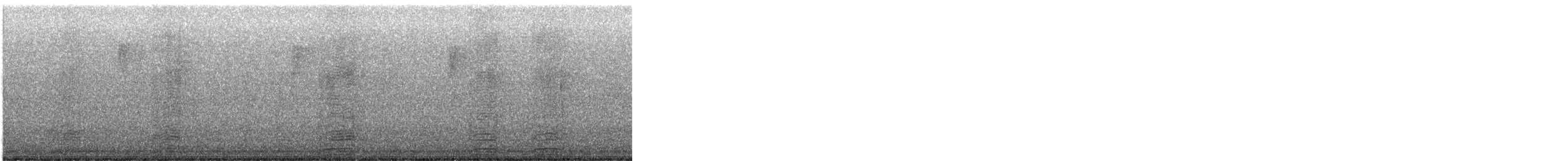 White Ibis - ML647293310