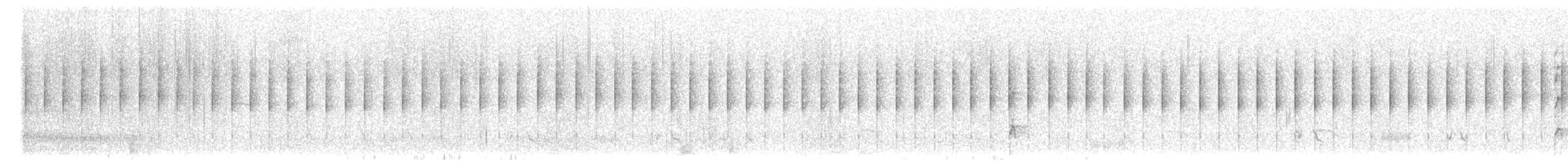Junquero troglodyte - ML647294110