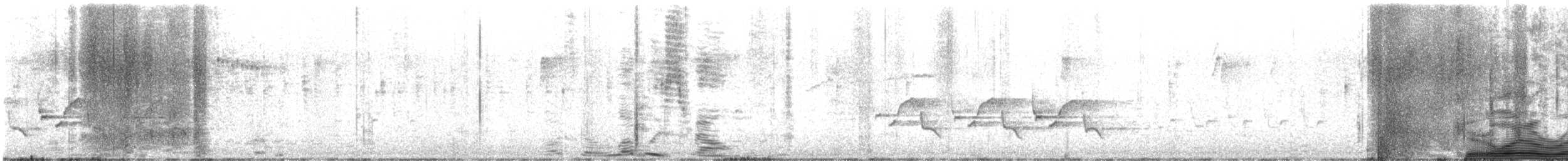 Carolina Wren - ML647294278