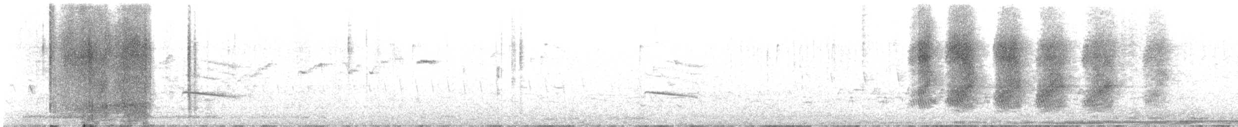 Florida Scrub-Jay - ML647294812