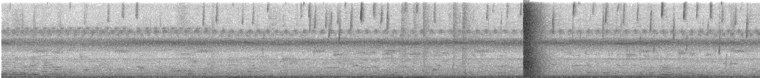 Southern Lapwing - ML647295257