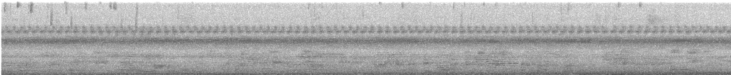 Northern Jacana - ML647295271