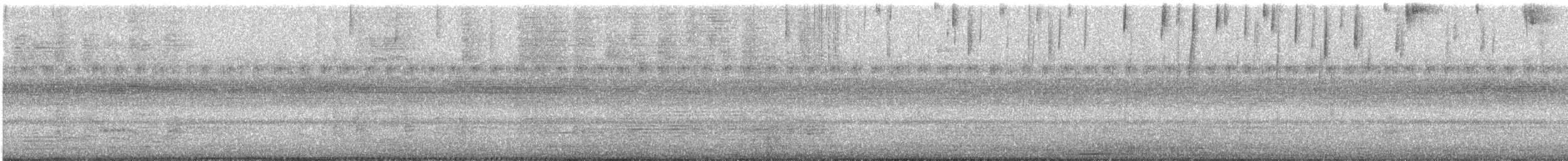 Northern Jacana - ML647295272