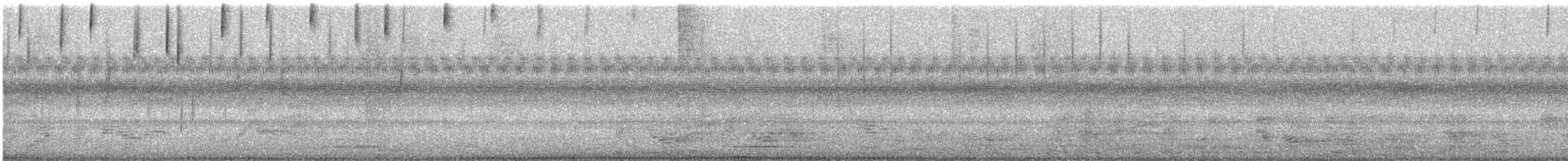 Northern Jacana - ML647295274