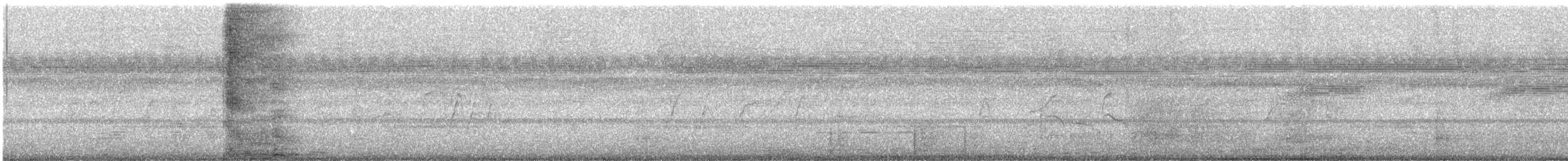 Black-bellied Whistling-Duck - ML647295502