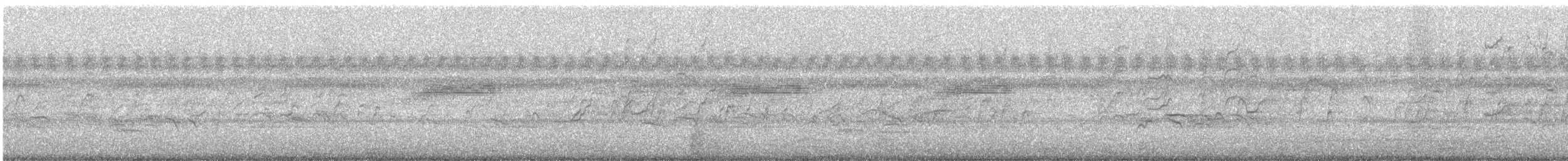 Black-bellied Whistling-Duck - ML647295503