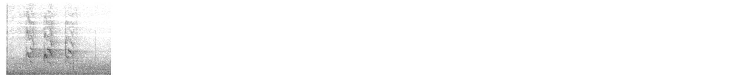 Rose-ringed Parakeet - ML647295522