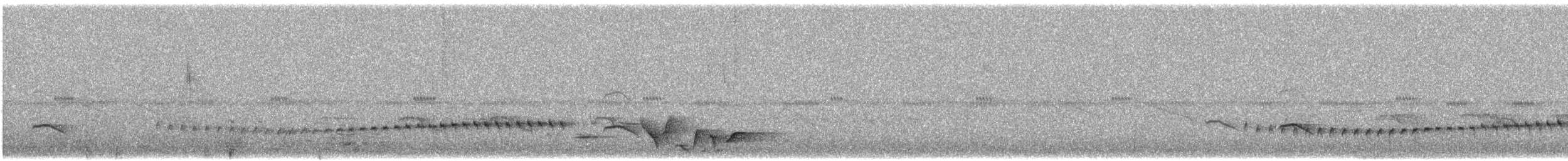 bird sp. - ML647296813