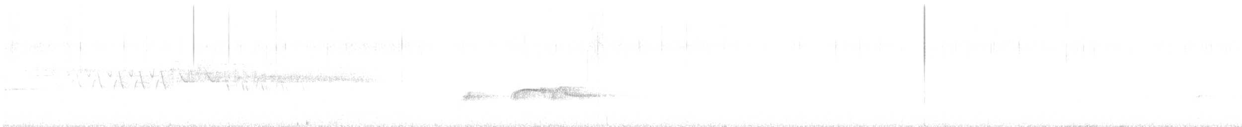 Olivflanken-Schnäppertyrann - ML647298651