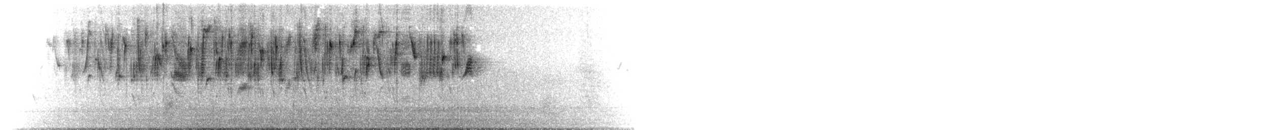 Txirriskila arrunta - ML647298660