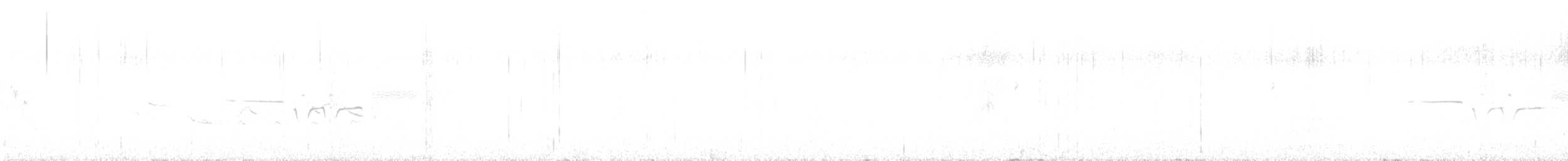 strnadec bělopásý (ssp. gambelii) - ML647298997