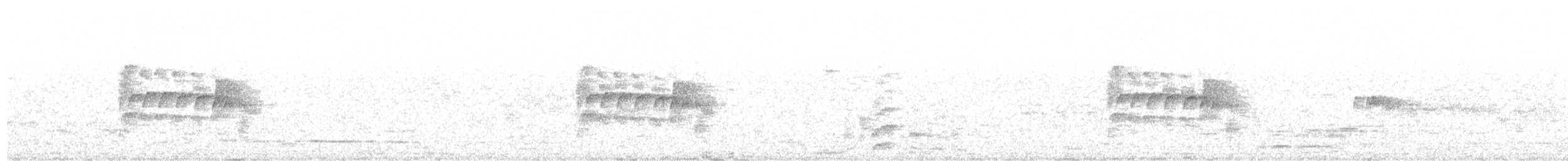 Plain Antvireo - ML647299171