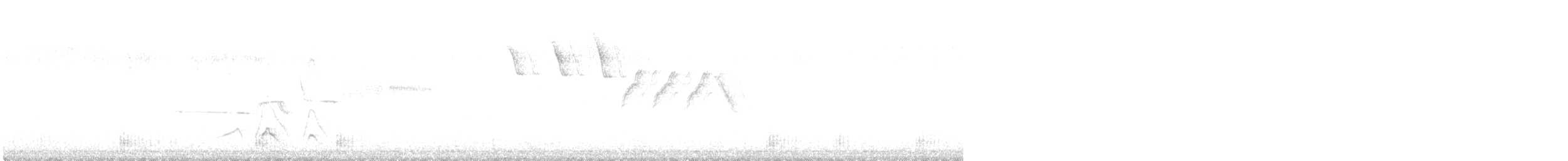 Northern Yellow Warbler - ML647299668