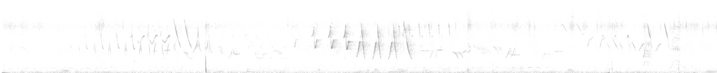 Northern Waterthrush - ML647300753